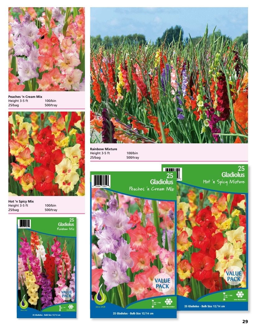 A.D.R. Bulbs Summer Flowering Bulbs Catalog Weekly Ad January 1 - December 31, 2026