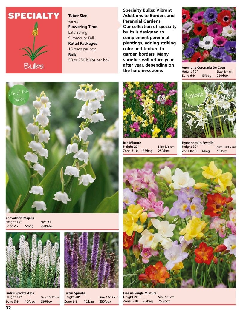 A.D.R. Bulbs Summer Flowering Bulbs Catalog Weekly Ad January 1 - December 31, 2026