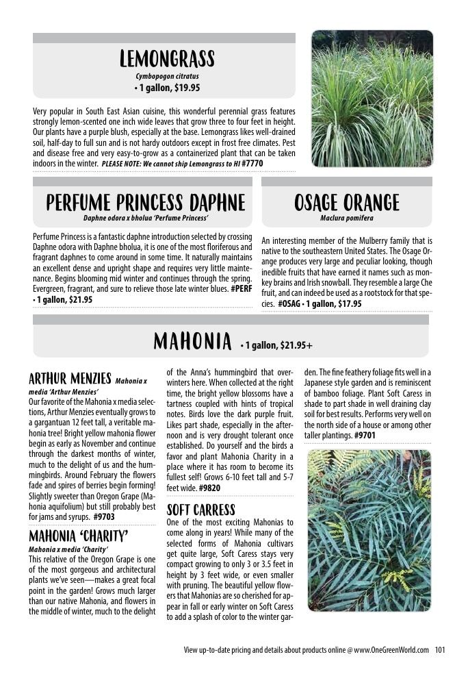 One Green World Annual Catalog Weekly Ad January 1 - December 31, 2026