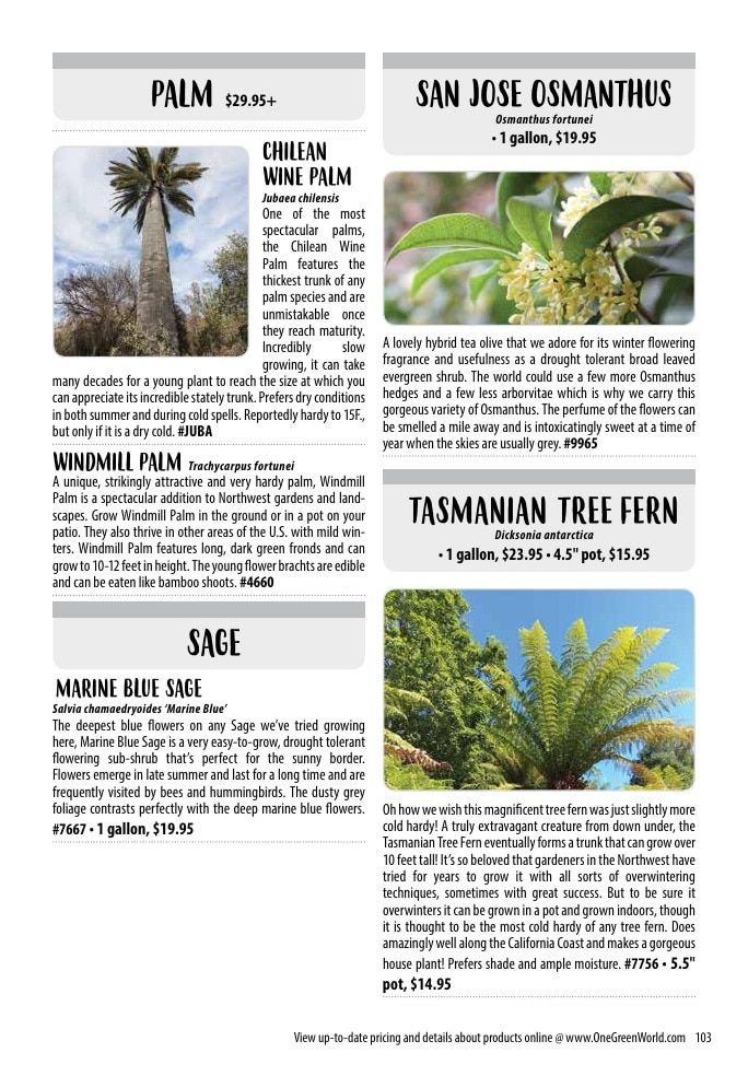 One Green World Annual Catalog Weekly Ad January 1 - December 31, 2026
