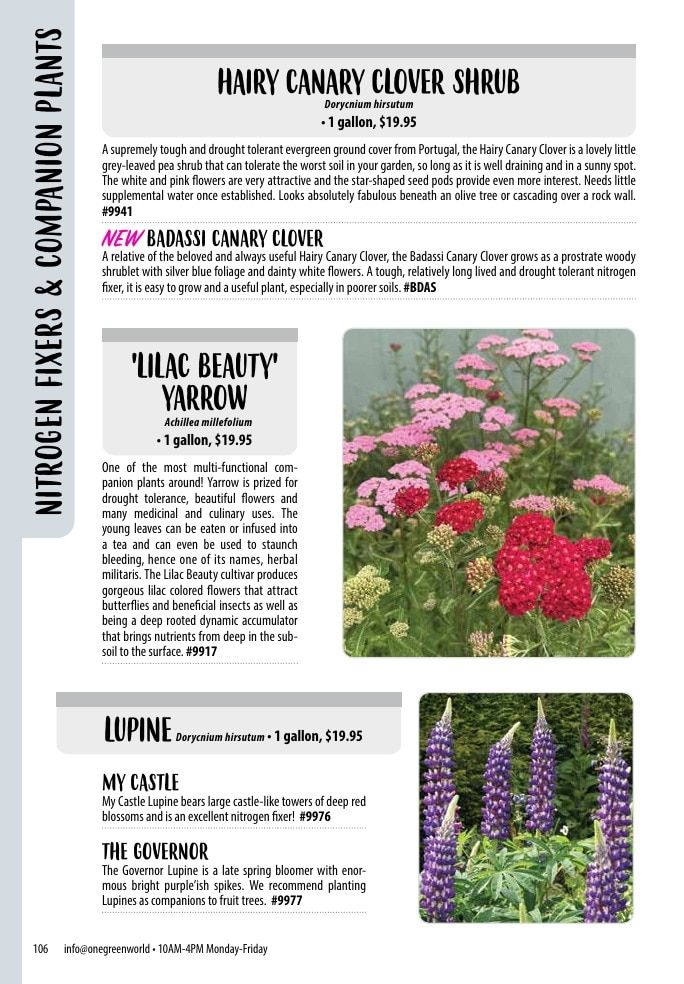 One Green World Annual Catalog Weekly Ad January 1 - December 31, 2026