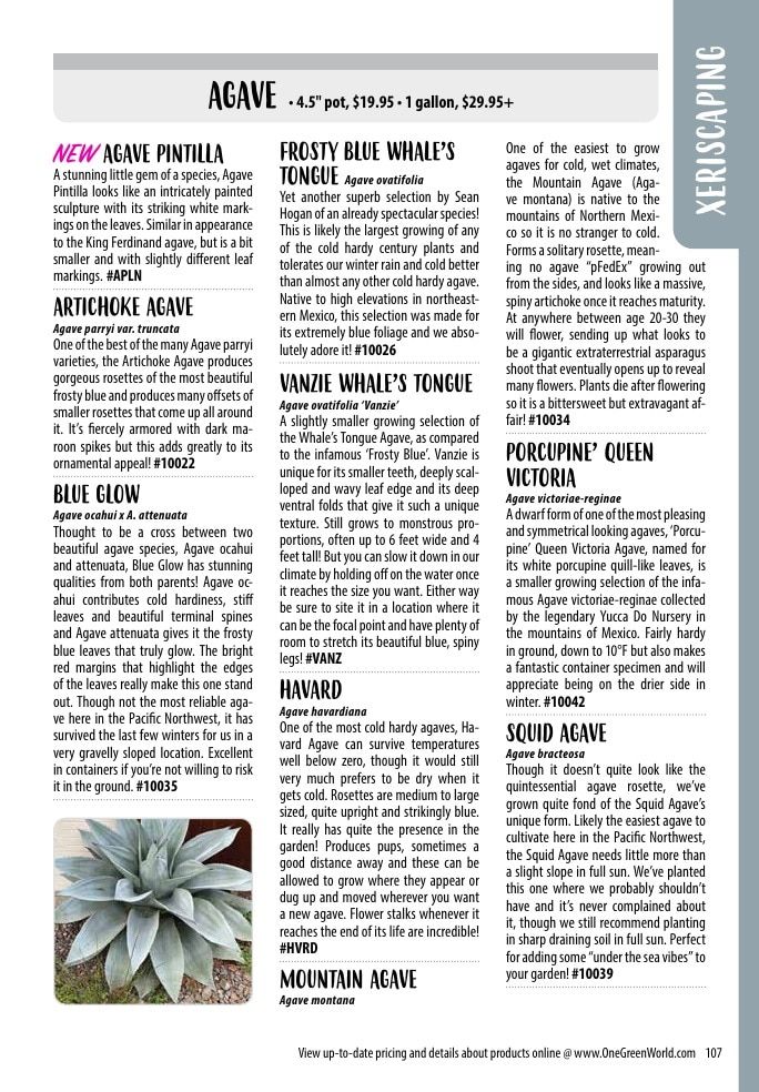 One Green World Annual Catalog Weekly Ad January 1 - December 31, 2026