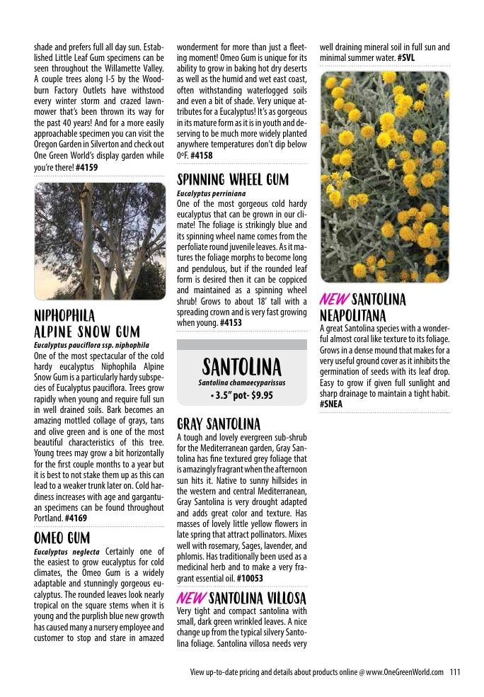 One Green World Annual Catalog Weekly Ad January 1 - December 31, 2026
