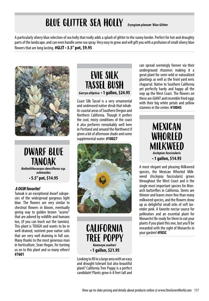 One Green World Annual Catalog Weekly Ad January 1 - December 31, 2026