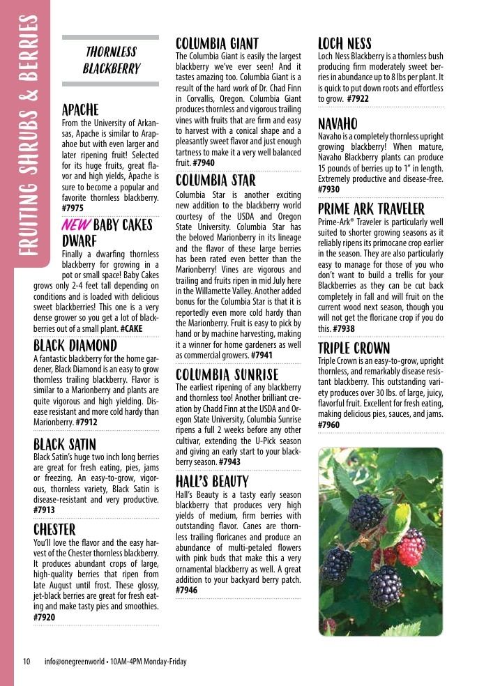 One Green World Annual Catalog Weekly Ad January 1 - December 31, 2026