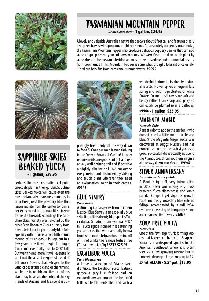 One Green World Annual Catalog Weekly Ad January 1 - December 31, 2026