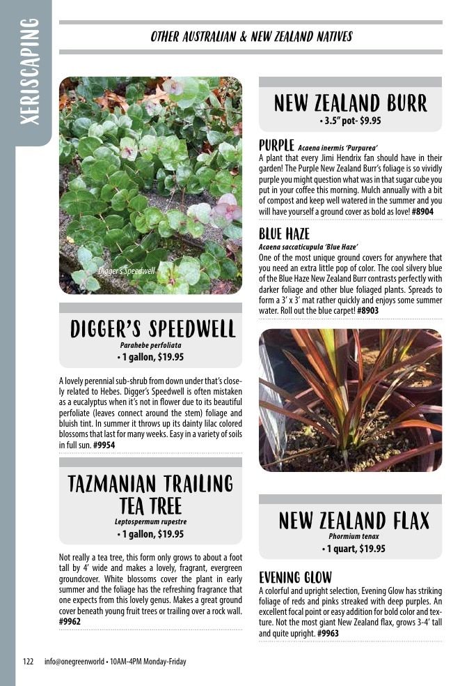 One Green World Annual Catalog Weekly Ad January 1 - December 31, 2026