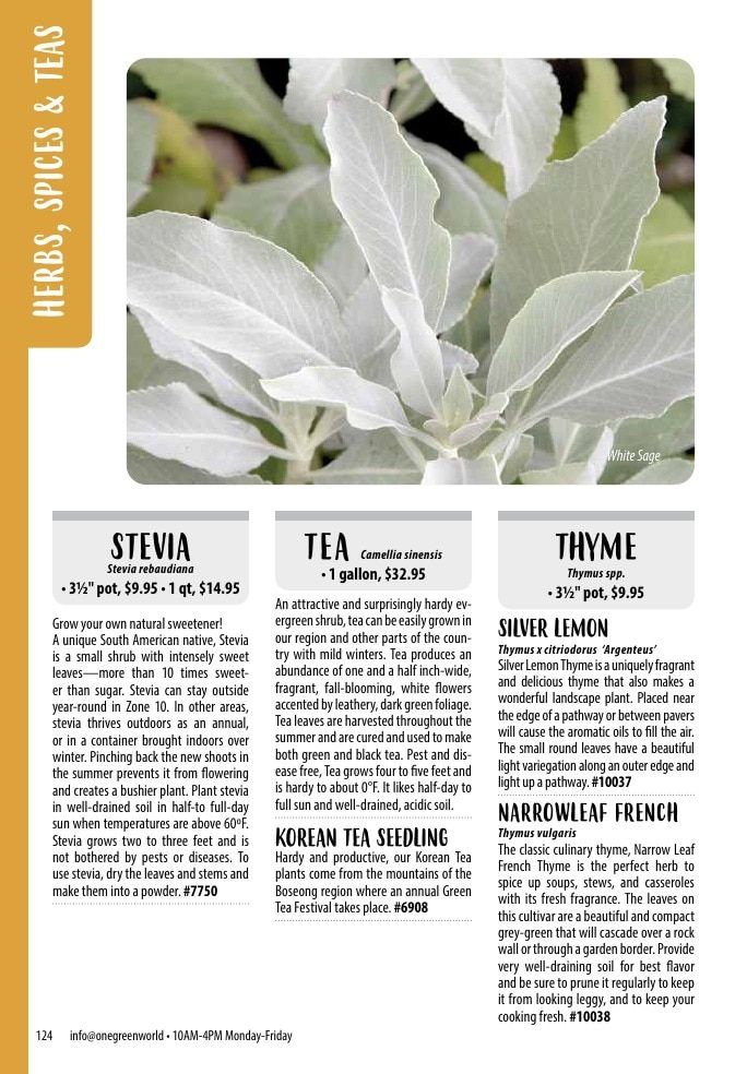 One Green World Annual Catalog Weekly Ad January 1 - December 31, 2026
