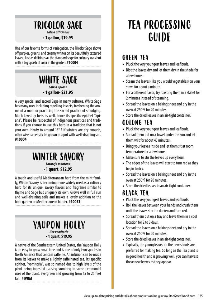 One Green World Annual Catalog Weekly Ad January 1 - December 31, 2026