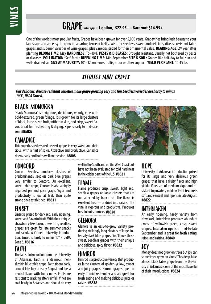One Green World Annual Catalog Weekly Ad January 1 - December 31, 2026