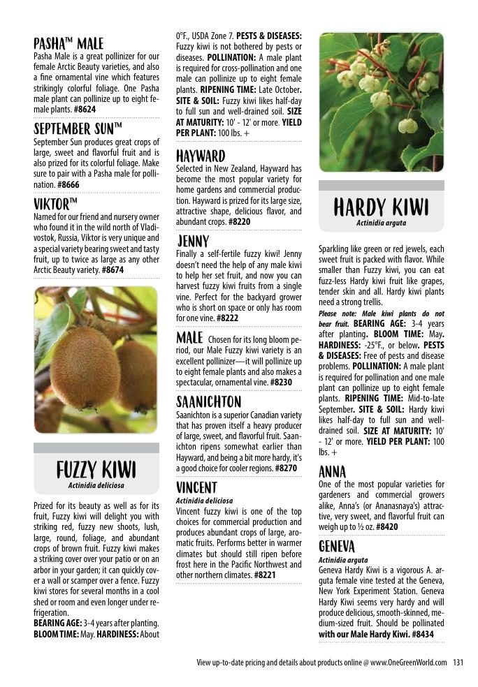 One Green World Annual Catalog Weekly Ad January 1 - December 31, 2026