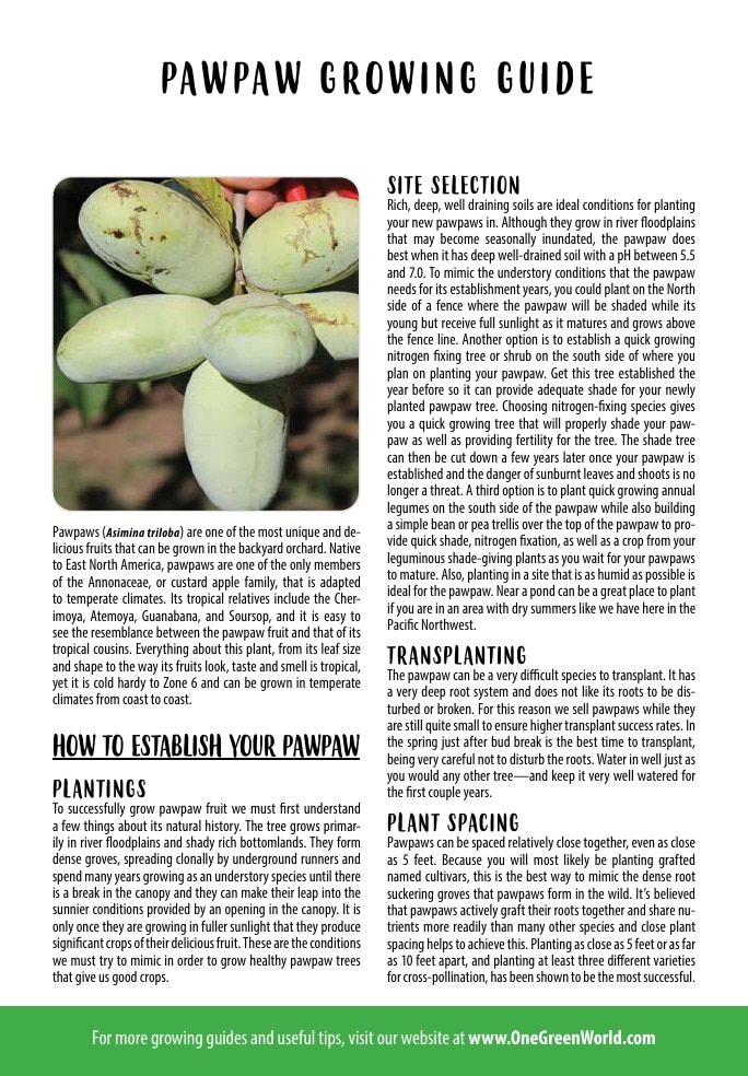 One Green World Annual Catalog Weekly Ad January 1 - December 31, 2026