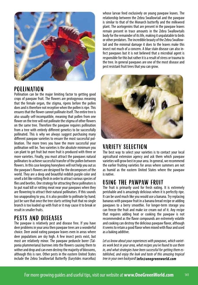 One Green World Annual Catalog Weekly Ad January 1 - December 31, 2026
