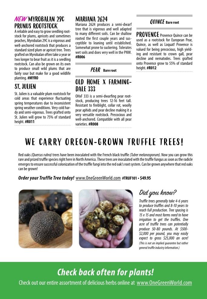 One Green World Annual Catalog Weekly Ad January 1 - December 31, 2026