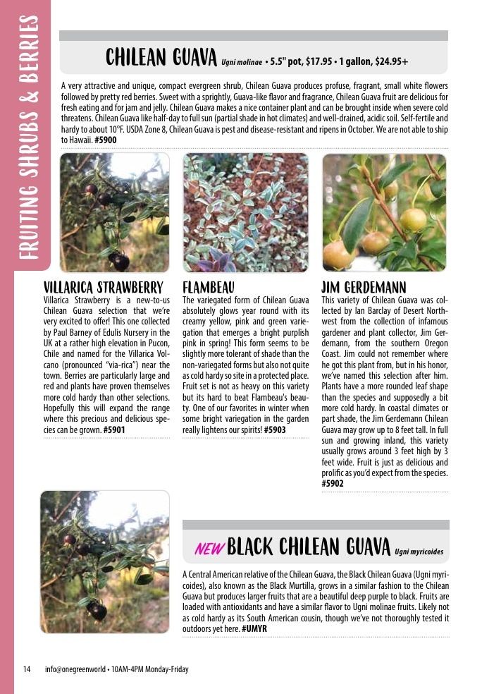 One Green World Annual Catalog Weekly Ad January 1 - December 31, 2026
