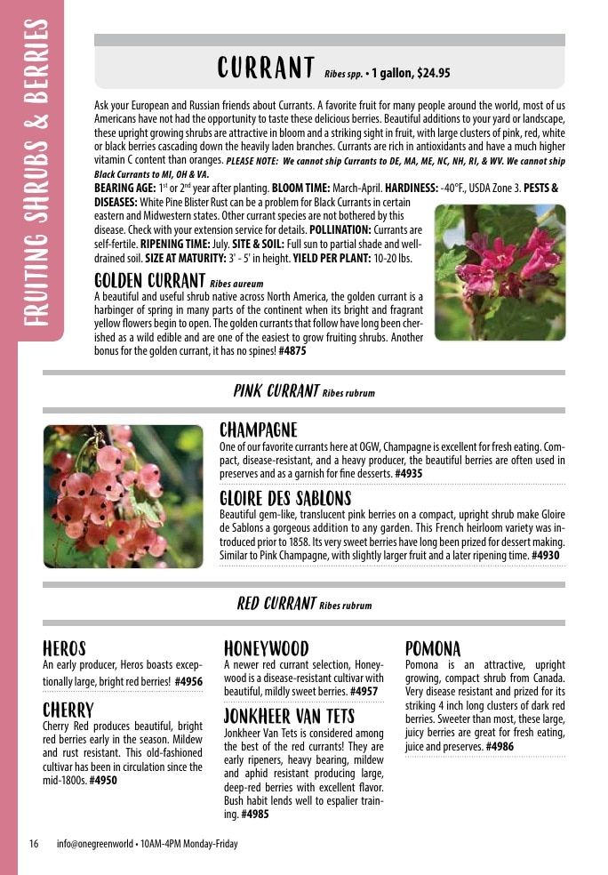 One Green World Annual Catalog Weekly Ad January 1 - December 31, 2026