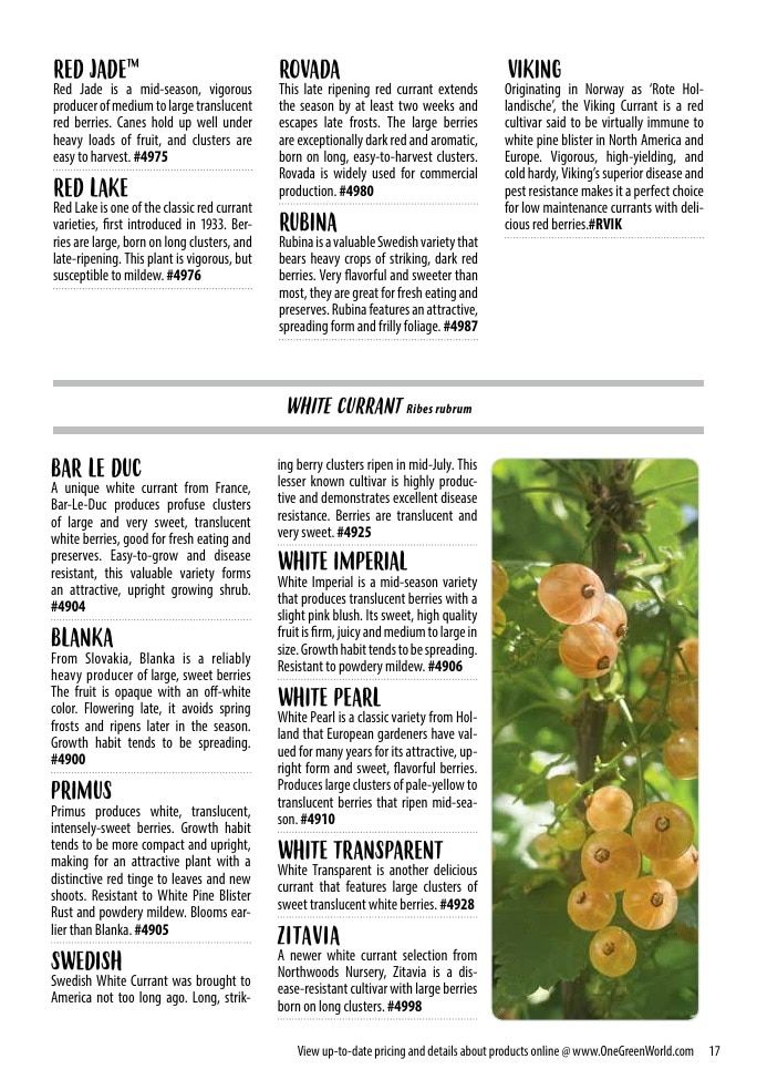 One Green World Annual Catalog Weekly Ad January 1 - December 31, 2026