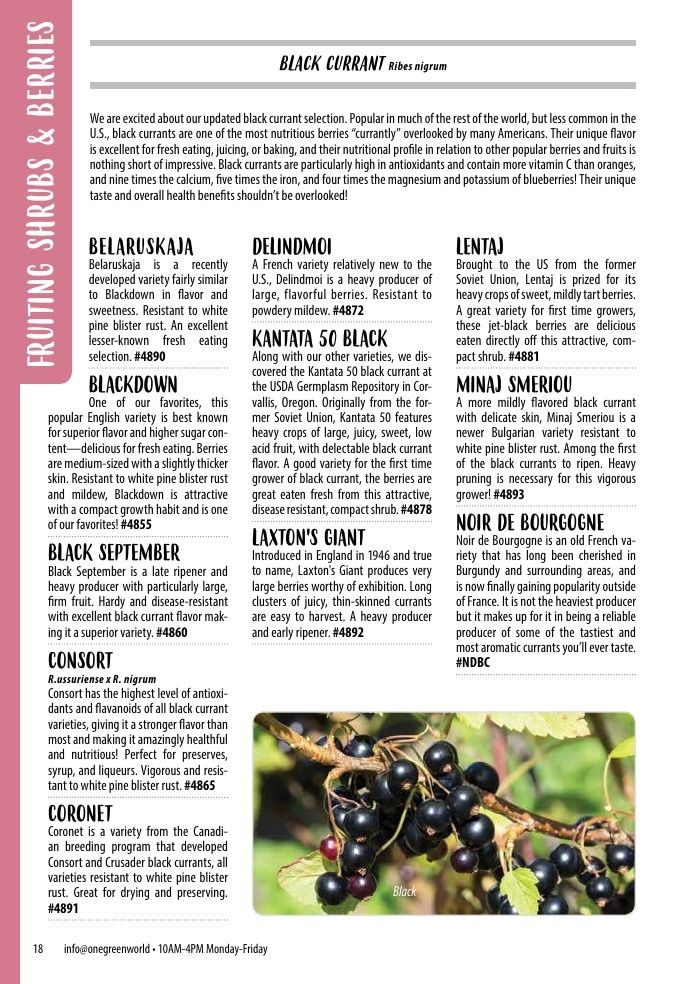 One Green World Annual Catalog Weekly Ad January 1 - December 31, 2026