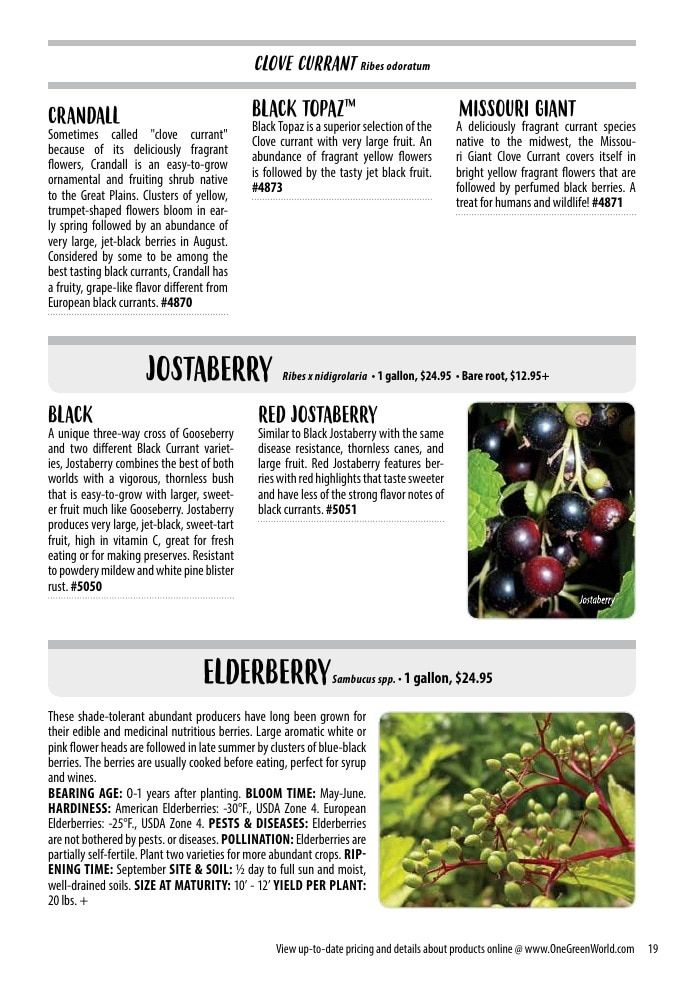 One Green World Annual Catalog Weekly Ad January 1 - December 31, 2026