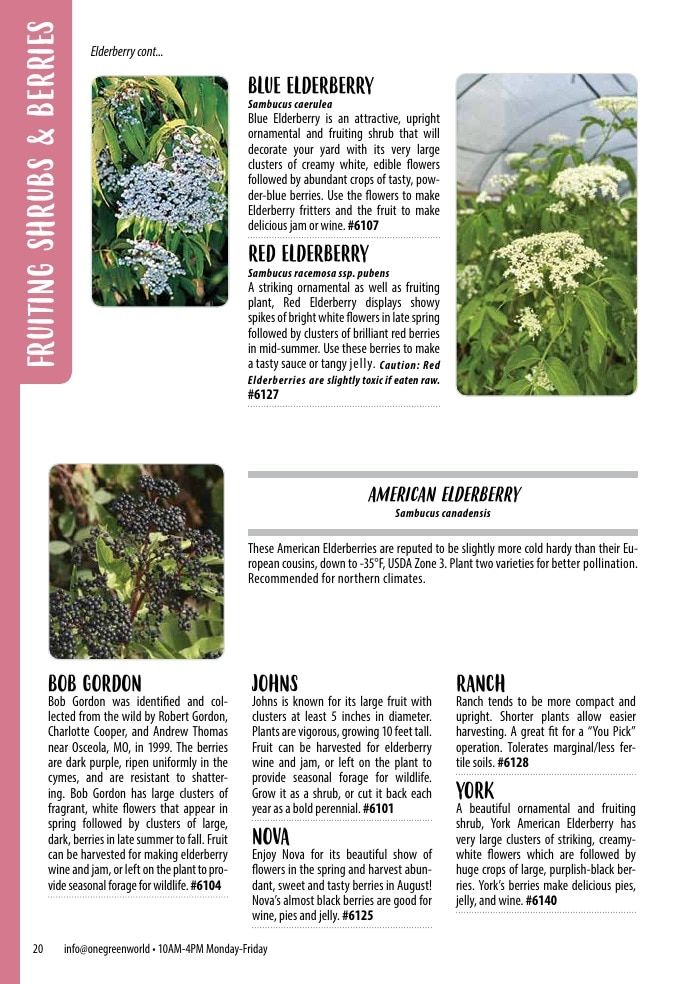One Green World Annual Catalog Weekly Ad January 1 - December 31, 2026