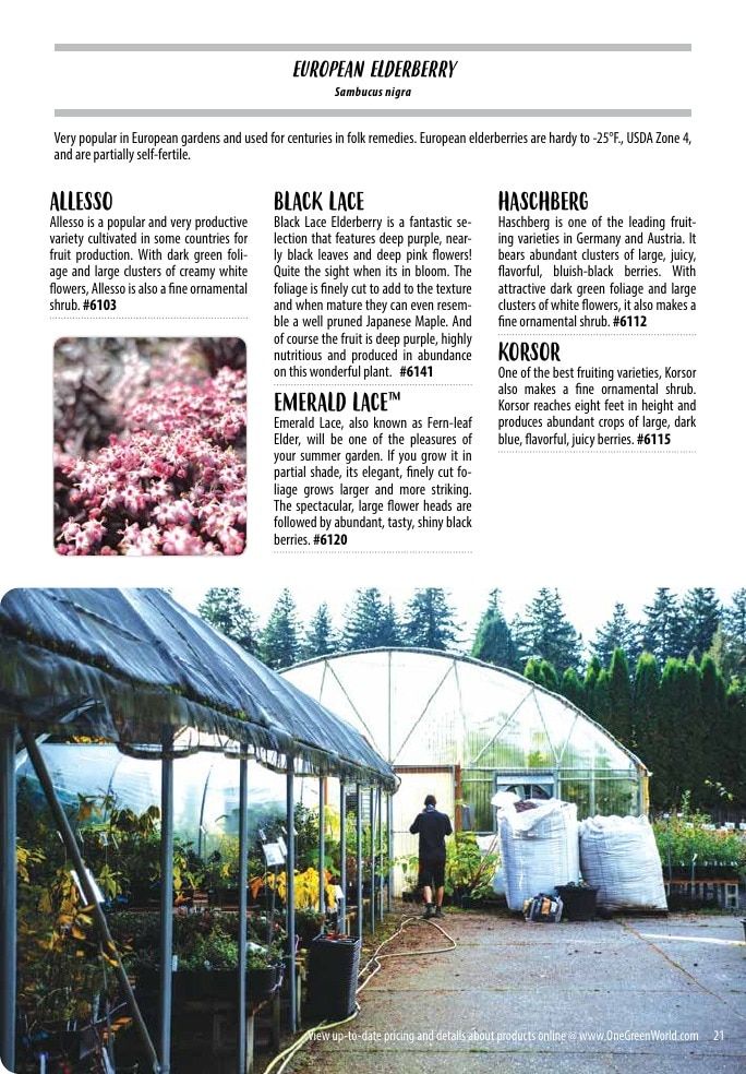 One Green World Annual Catalog Weekly Ad January 1 - December 31, 2026