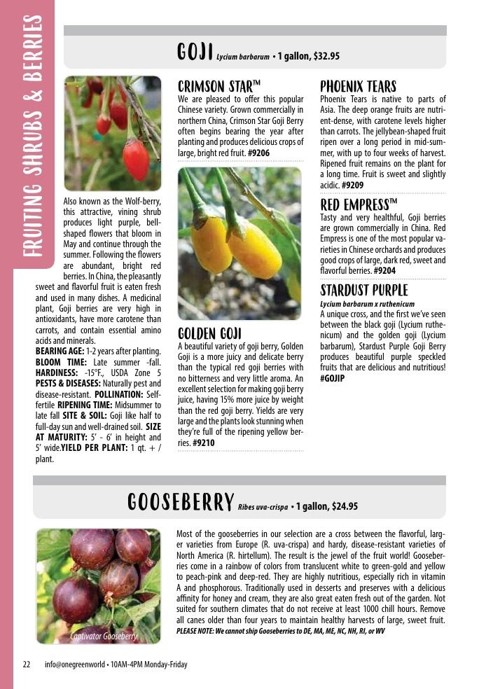 One Green World Annual Catalog Weekly Ad January 1 - December 31, 2026