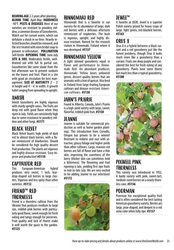 One Green World Annual Catalog Weekly Ad January 1 - December 31, 2026