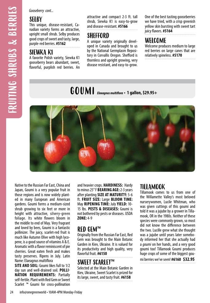 One Green World Annual Catalog Weekly Ad January 1 - December 31, 2026
