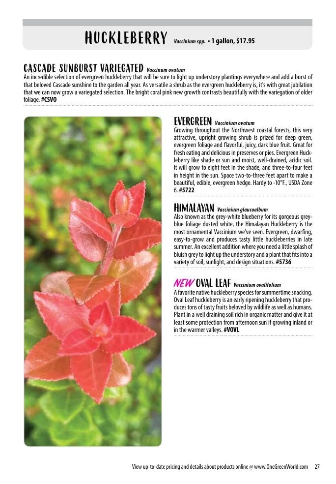 One Green World Annual Catalog Weekly Ad January 1 - December 31, 2026