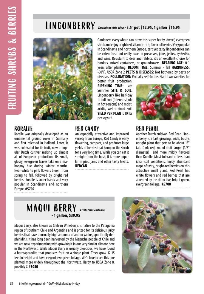 One Green World Annual Catalog Weekly Ad January 1 - December 31, 2026