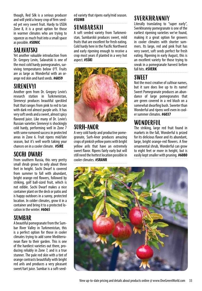 One Green World Annual Catalog Weekly Ad January 1 - December 31, 2026