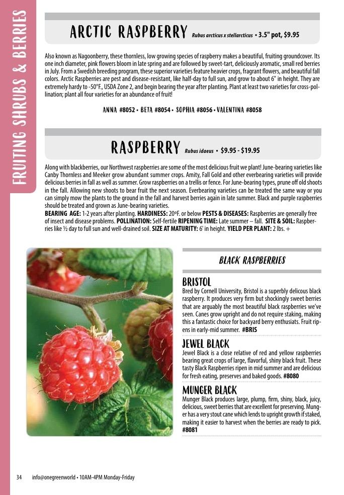 One Green World Annual Catalog Weekly Ad January 1 - December 31, 2026