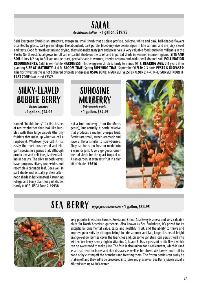 One Green World Annual Catalog Weekly Ad January 1 - December 31, 2026