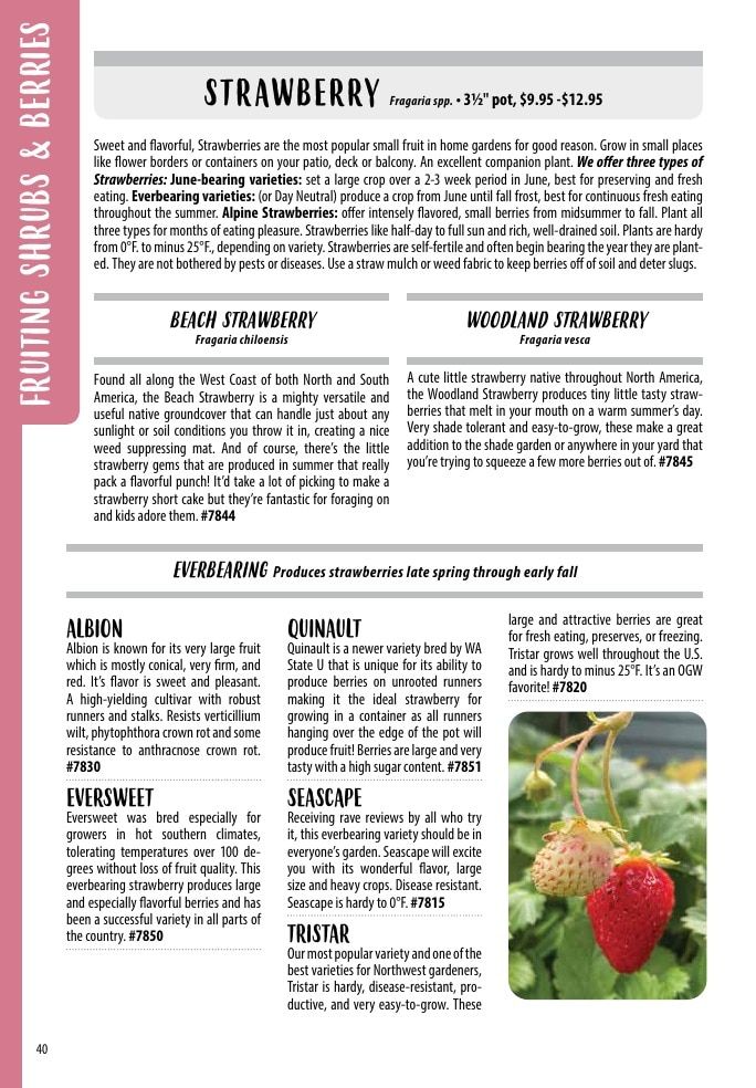 One Green World Annual Catalog Weekly Ad January 1 - December 31, 2026