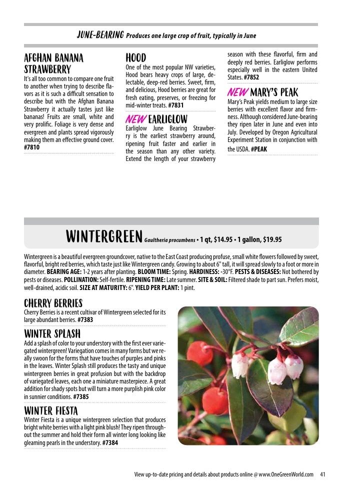 One Green World Annual Catalog Weekly Ad January 1 - December 31, 2026