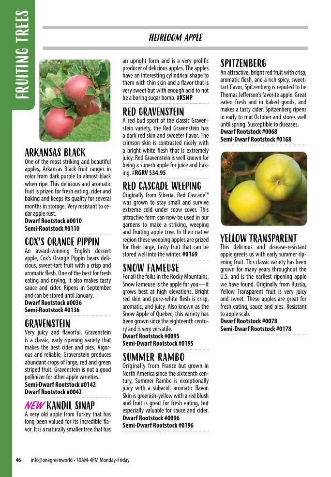 One Green World Annual Catalog Weekly Ad January 1 - December 31, 2026