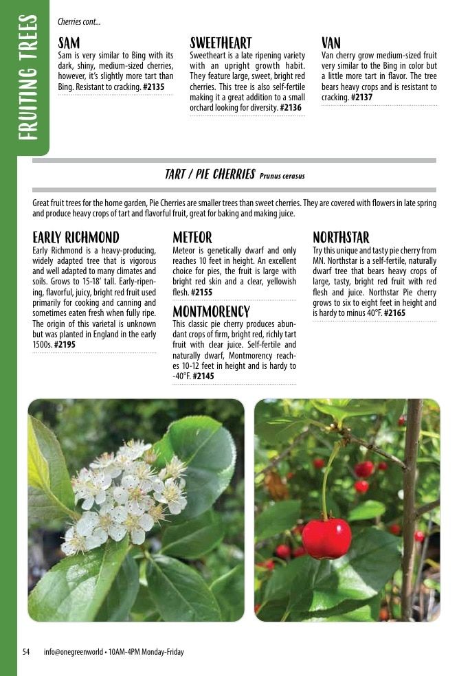 One Green World Annual Catalog Weekly Ad January 1 - December 31, 2026