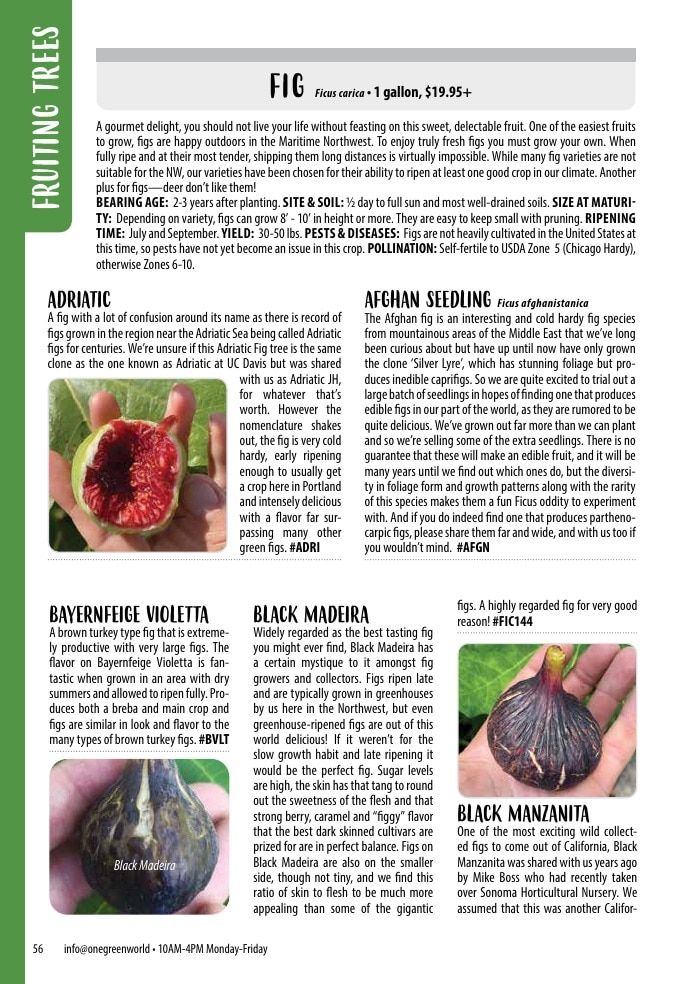 One Green World Annual Catalog Weekly Ad January 1 - December 31, 2026