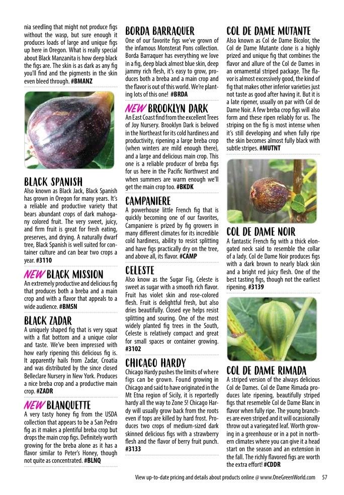 One Green World Annual Catalog Weekly Ad January 1 - December 31, 2026