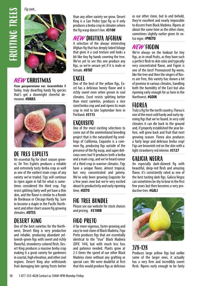 One Green World Annual Catalog Weekly Ad January 1 - December 31, 2026