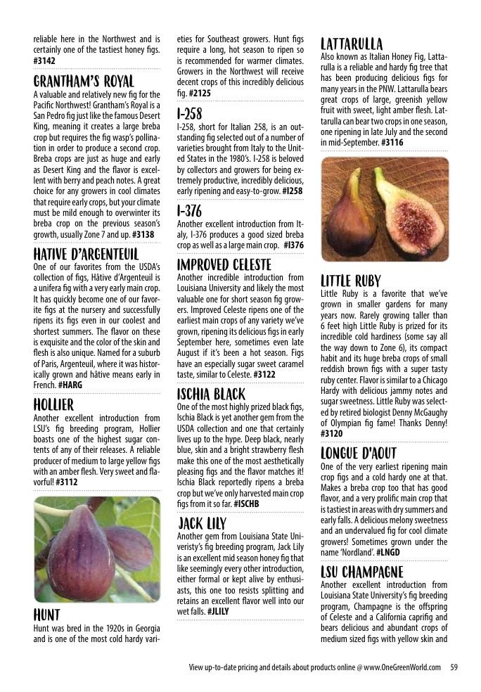 One Green World Annual Catalog Weekly Ad January 1 - December 31, 2026