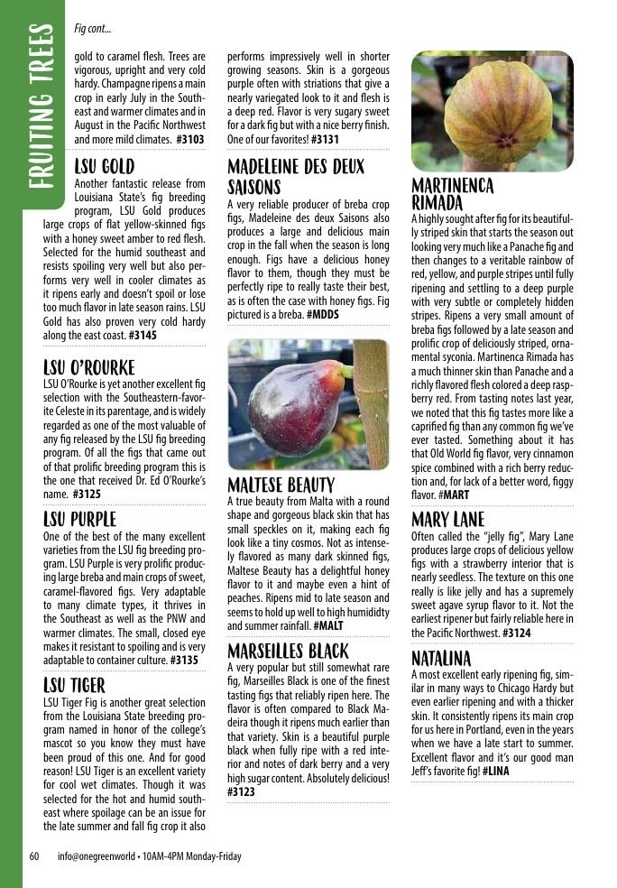 One Green World Annual Catalog Weekly Ad January 1 - December 31, 2026