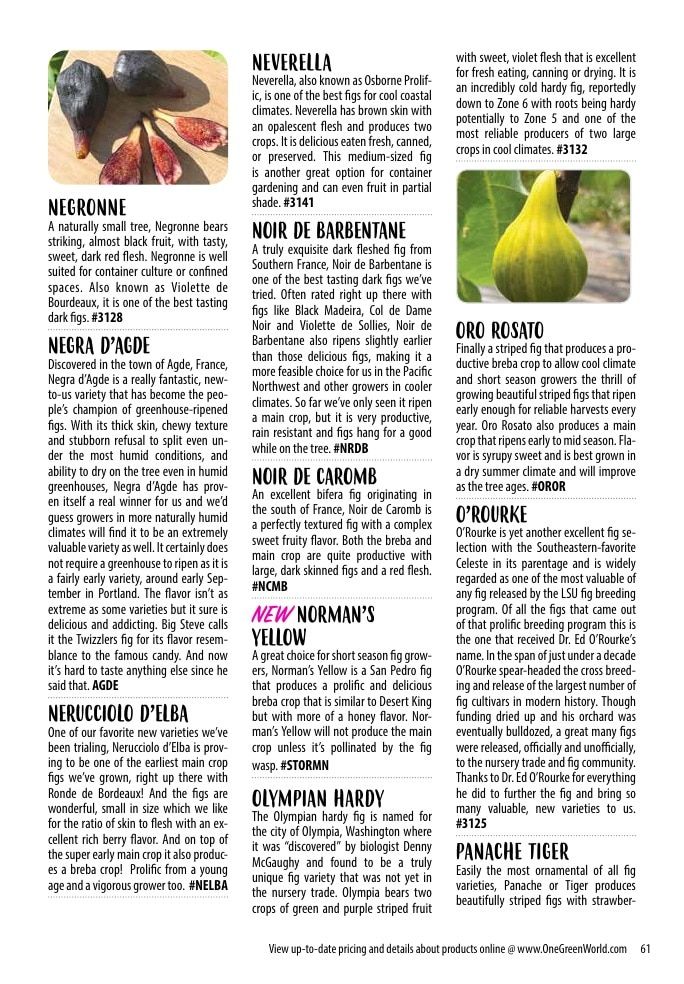 One Green World Annual Catalog Weekly Ad January 1 - December 31, 2026