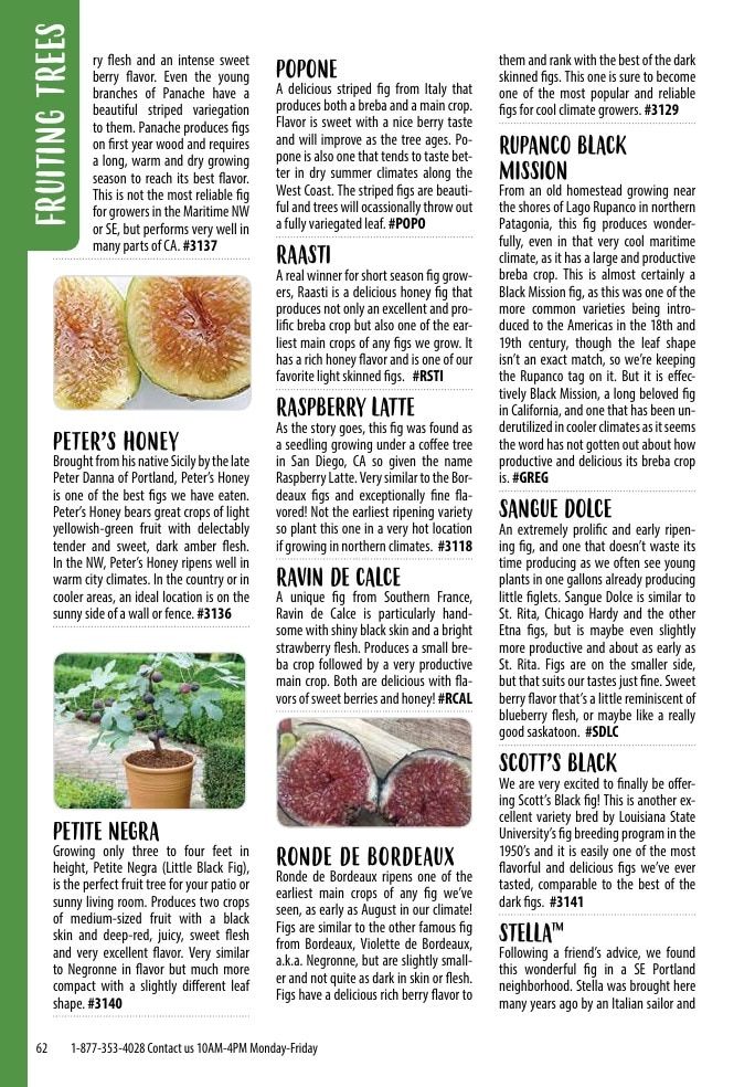 One Green World Annual Catalog Weekly Ad January 1 - December 31, 2026