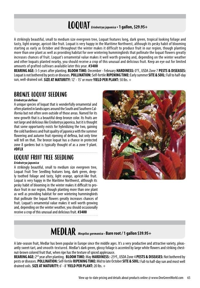 One Green World Annual Catalog Weekly Ad January 1 - December 31, 2026