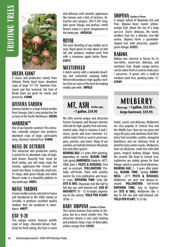 One Green World Annual Catalog Weekly Ad January 1 - December 31, 2026