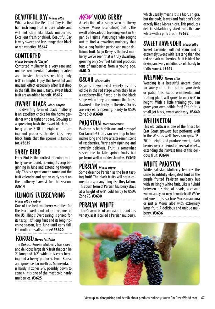 One Green World Annual Catalog Weekly Ad January 1 - December 31, 2026
