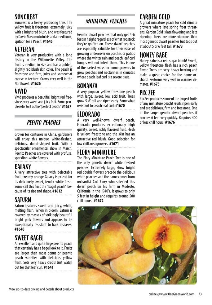 One Green World Annual Catalog Weekly Ad January 1 - December 31, 2026