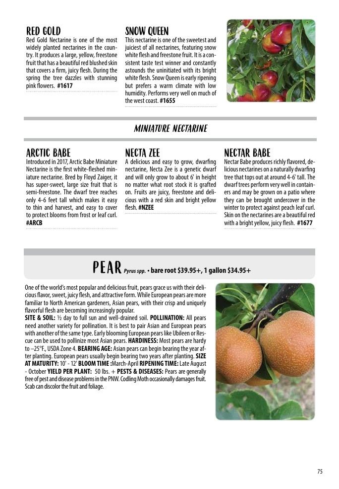 One Green World Annual Catalog Weekly Ad January 1 - December 31, 2026