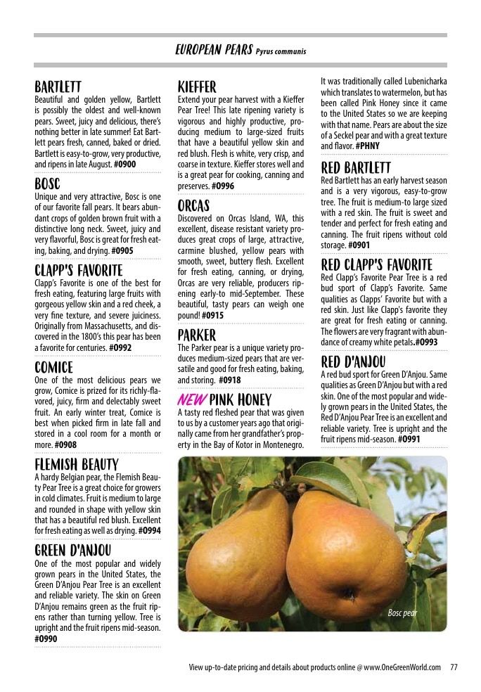 One Green World Annual Catalog Weekly Ad January 1 - December 31, 2026
